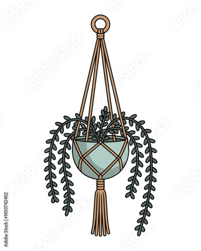 Hanging Macrame Plant Holder with Trailing Plant Illustration