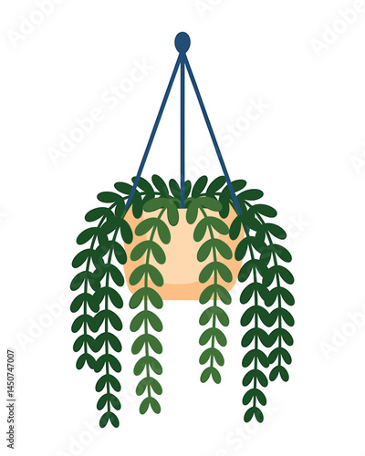 Hanging Macrame Plant Holder with Trailing Plant Illustration