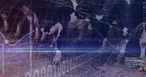 Cow hooves and legs getting overlaid with streaming financial graphs and binary code in 3D render