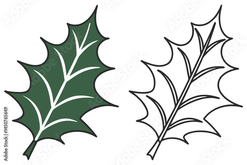 Paired holly leaf images portray verdant color and simple outline on a bright background