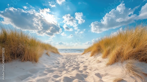 Sunny beach path through dunes leads to tranquil ocean.