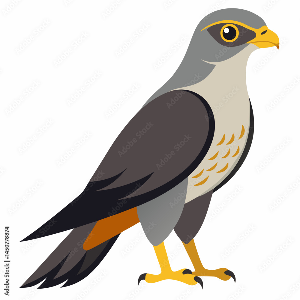 Minimal Common Hawk-Cuckoo Vector on White Minimal Common Hawk-Cuckoo Vector on White