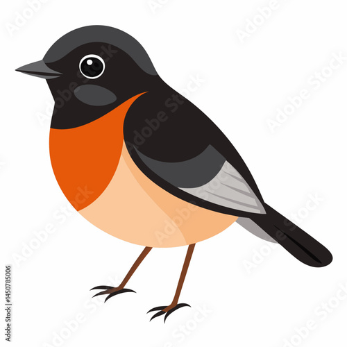 Minimal Pied Bushchat Vector on White