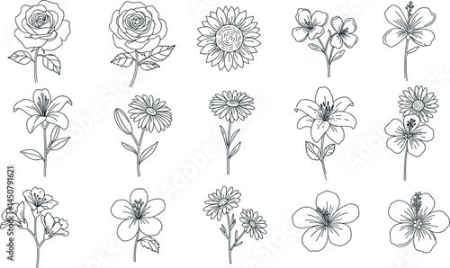 Flower line icon set. Vector pictograms of rose, tulip, daisy, orchid, sunflower, peony, gladiolus, snapdragon, stock, delphinium