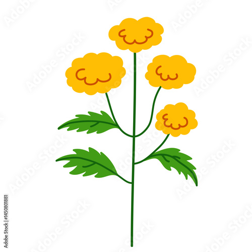 Simple vector flower illustration on transparent background
