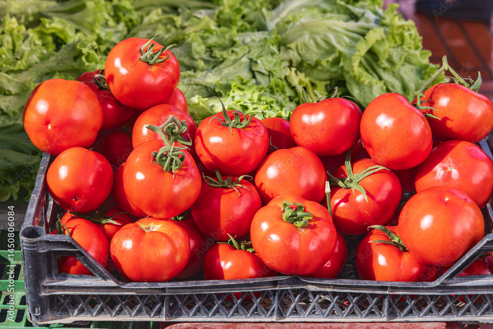 Fresh red tomatoes for sale at an outdoor market.