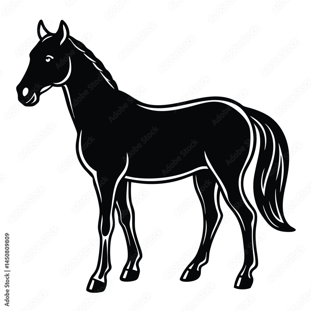 Obraz premium Adobe Illustrator Artwork