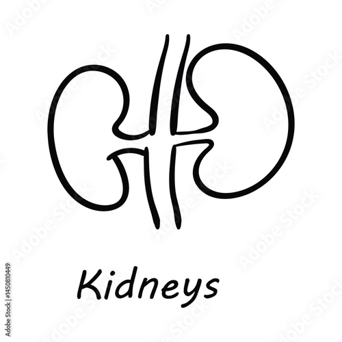 Vector Icon for Kidneys: Renal Health and Urinary System Illustration