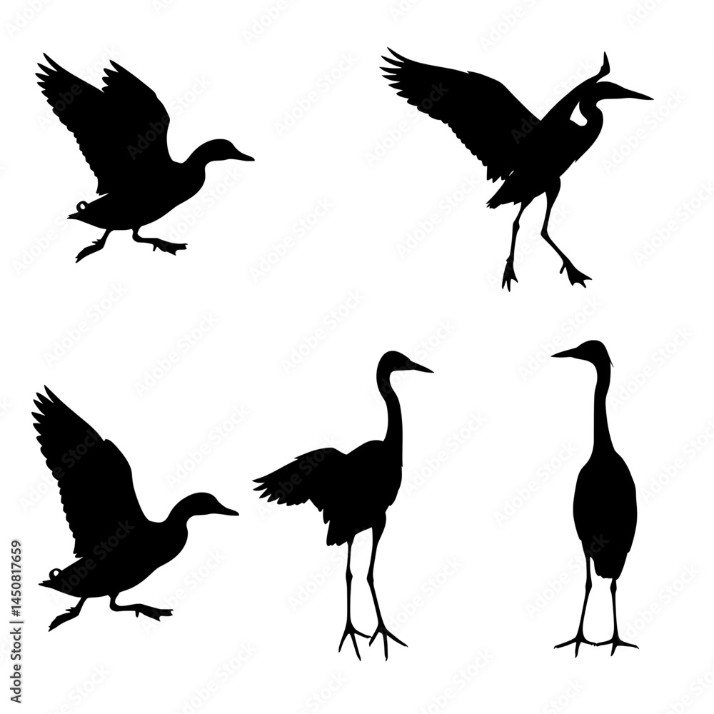 Obraz premium Collection of Elegant Heron and Crane Silhouettes Bird Illustrations for Design Projects