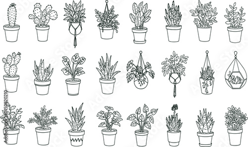 Houseplants line icon set. Vector pictograms of indoor plants, succulents, monstera, cactus in pot, bonsai, aloe vera, orchid, philodendron, peace 