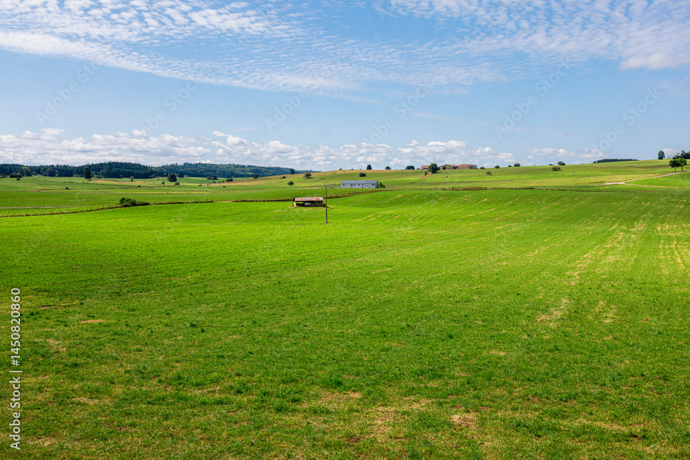 Naklejka premium Wide panoramic view of lush green fields with scattered trees and power lines under a partly cloudy sky in the French countryside
