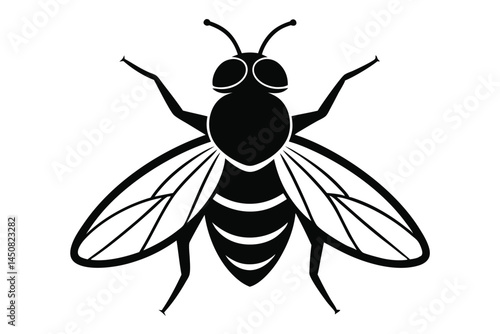 Detailed monochrome fly shows stylized wings and striped abdomen on white background