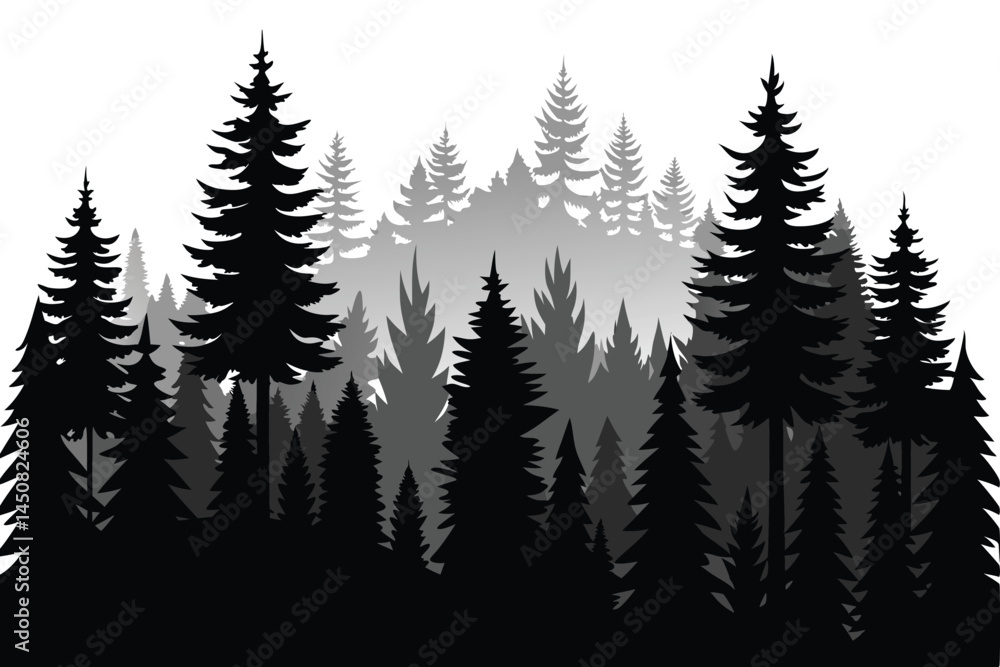 Obraz premium Forest silhouette shows a dense group of pines and firs fading into distance