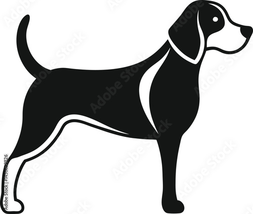 Beagle vector 