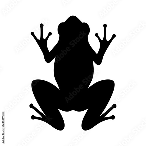 Silhouette of a tree frog viewed from above on a white background