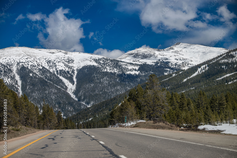 Naklejka premium colorado rockies