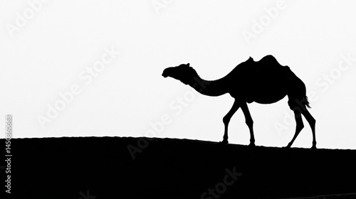 Black and white camel silhouette walking in desert sand dunes animal photography wallpaper background