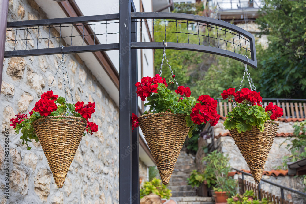 Red flowers in hanging baskets.