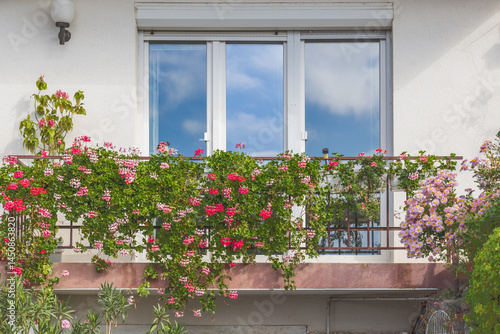 Sky and clouds reflecting in the windows of a building in Ohrid.