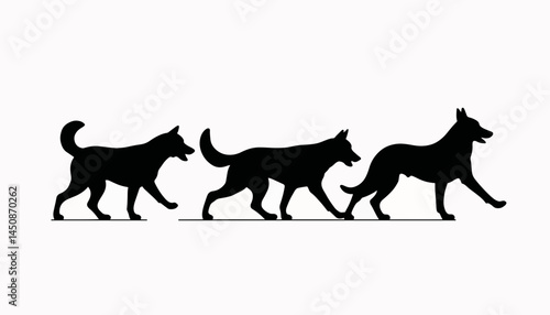 Sled dogs in silhouette racing on white background, dog sledding adventure