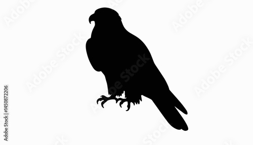 Falcon silhouette perched confidently on display, avian symbolism
