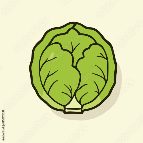 Fresh green cabbage illustration on light background  