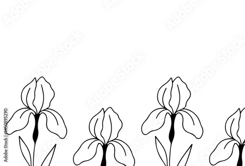 poster or postcard template with an iris bud icon drawn with several lines in line art style, for logos and tattoos