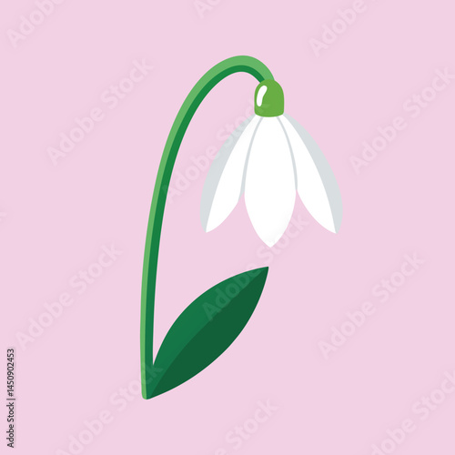 Minimalist Illustration of a Snowdrop Flower on a Light Pink Background