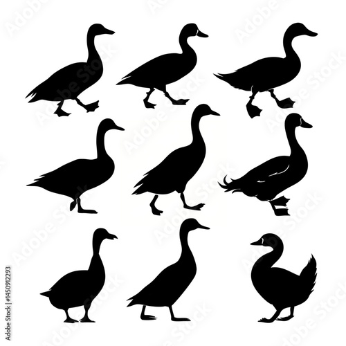 Duck silhouette bundle vector design