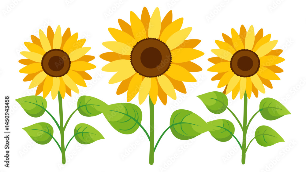 Obraz premium Sunflower vector illustration of sunflowers field with yellow petals and green leaves design art