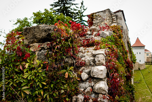 Fortaleza medieval cubierta de hojas verdes y rojas en Brasov, Rumania.