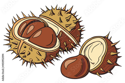 12 Photorealistic chestnuts, shiny brown nuts, autumn harvest, close-up detail, white background, food photography, warm tones, organic textures, gourmet ingredients, macro shot, high resolution, stud