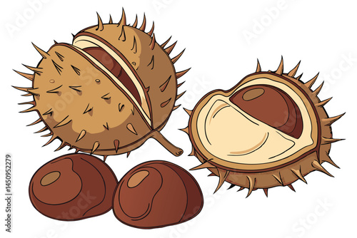 12 Photorealistic chestnuts, shiny brown nuts, autumn harvest, close-up detail, white background, food photography, warm tones, organic textures, gourmet ingredients, macro shot, high resolution, stud