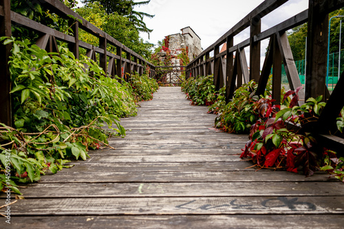 Puente de madera cubierto con hojas verdes y rojas en otoño