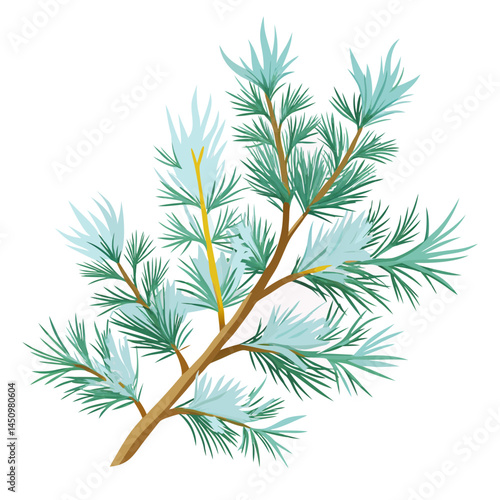 Minimal Frosted Pine Branches Vector on White