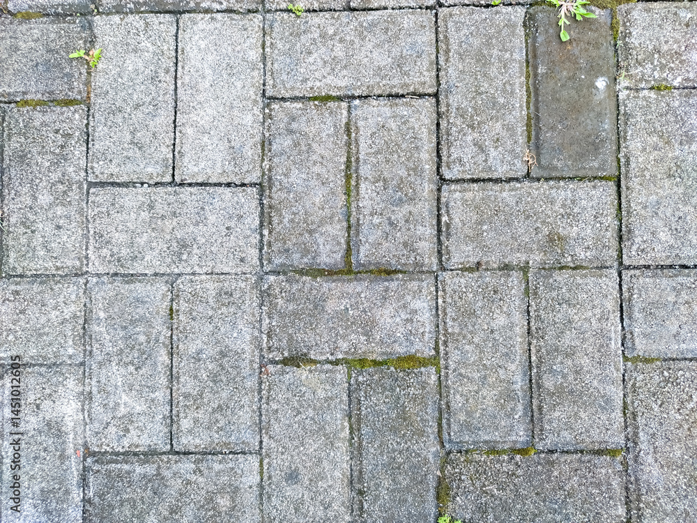 A textured pavement composed of interlocking grey rectangular paving stones. Sparse vegetation, including moss, occupies the interstitial spaces between the paving units, creating a patterned backdrop A textured pavement composed of interlocking grey rectangular paving stones. Sparse vegetation, including moss, occupies the interstitial spaces between the paving units, creating a patterned backdrop