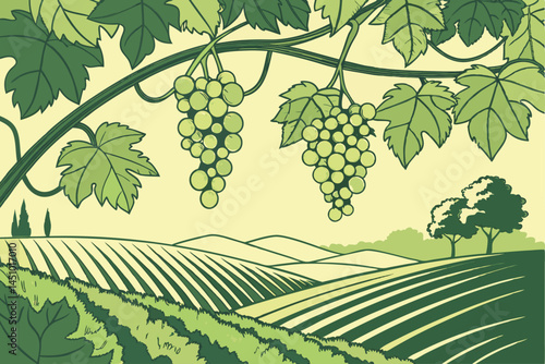 Lush grape vineyard, hanging clusters of green grapes, sunlit vine leaves, organic fruit farming, vibrant agricultural landscape, crisp detailed photography, soft natural lighting, green color pallet