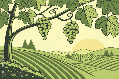 Lush grape vineyard, hanging clusters of green grapes, sunlit vine leaves, organic fruit farming, vibrant agricultural landscape, crisp detailed photography, soft natural lighting, green color pallet
