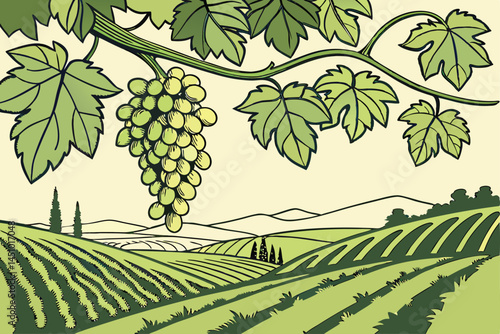 Lush grape vineyard, hanging clusters of green grapes, sunlit vine leaves, organic fruit farming, vibrant agricultural landscape, crisp detailed photography, soft natural lighting, green color pallet
