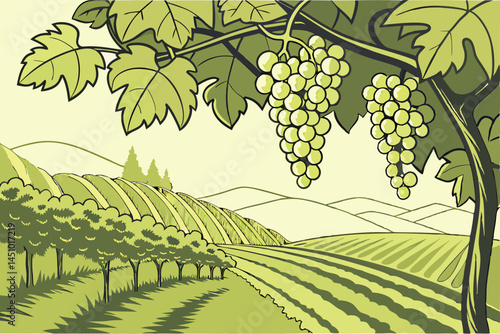 Lush grape vineyard, hanging clusters of green grapes, sunlit vine leaves, organic fruit farming, vibrant agricultural landscape, crisp detailed photography, soft natural lighting, green color pallet