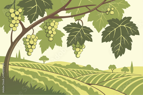 Lush grape vineyard, hanging clusters of green grapes, sunlit vine leaves, organic fruit farming, vibrant agricultural landscape, crisp detailed photography, soft natural lighting, green color pallet