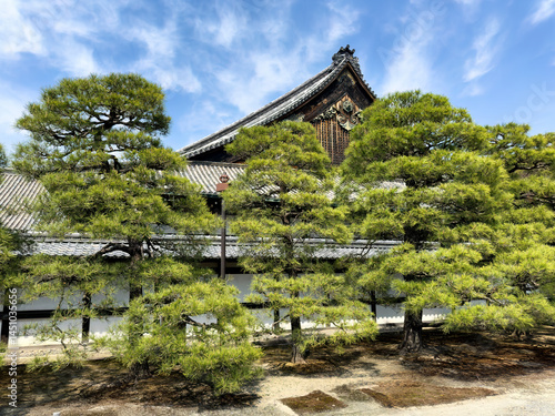 Shrine or temple in Japan from public street view during spring season day