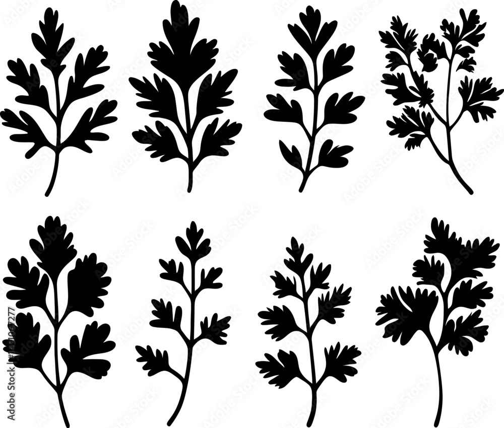 Adobe Illustrator Artwork Adobe Illustrator Artwork