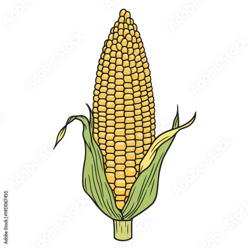 A black line illustration of a corn knob vegetable icon is presented in a modern design with black and white colors