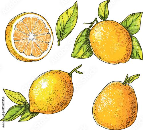 Adobe Illustrator Artwork