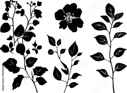 Adobe Illustrator Artwork