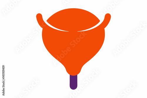 Human bladder Illustration: A detailed and anatomically correct illustration of a healthy human bladder, highlighted in a vibrant orange and purple palette.