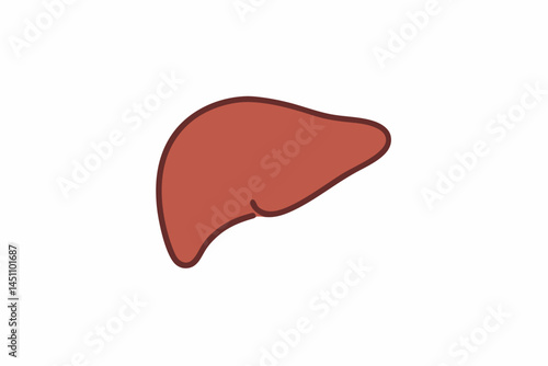 Human Liver: A clean, isolated illustration of the human liver, showcasing its distinctive shape and structure in a straightforward and scientific manner.