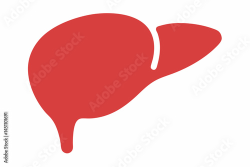 Anatomy of Liver: A clear and simple illustration of the human liver, emphasizing its vital role in maintaining health and bodily functions. A symbol of health and internal human anatomy