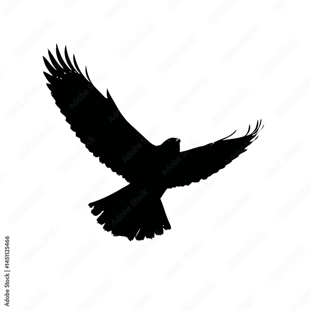 Obraz premium Solid black silhouette of a falcon soaring, vector EPS